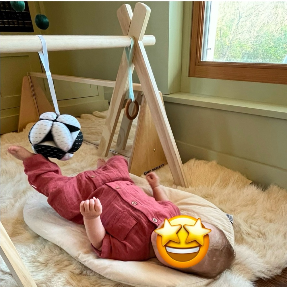 Wooden Montessori Play Gym